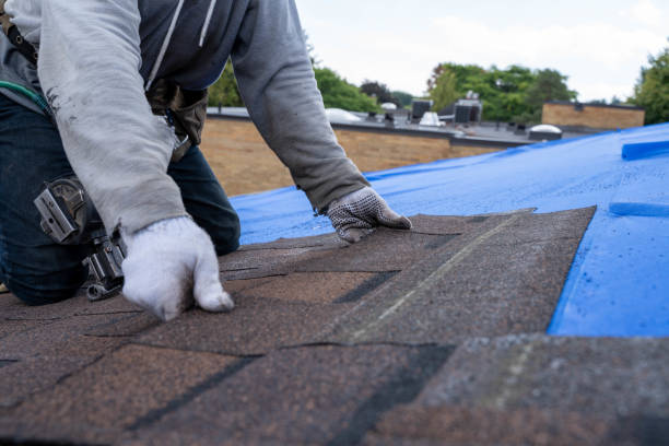 Best Gutter Installation and Roofing  in Mars, PA
